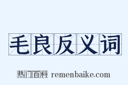 毛良反义词是什么意思的图片
